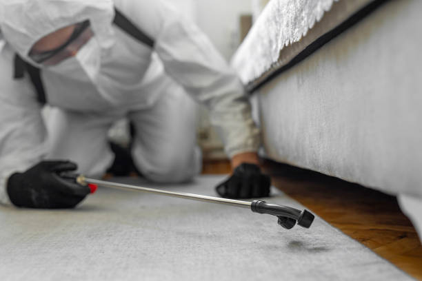 Professional Cockroach Control technician working in Edgewater, CO